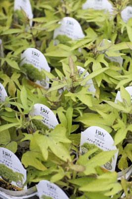 写真 2026-04-23 18 08 54_R_1