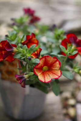 写真 2026-04-22 16 45 44_R_1