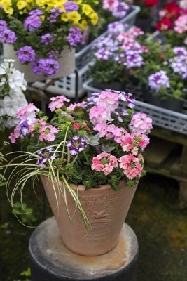 写真 2026-04-30 17 49 44_R_1