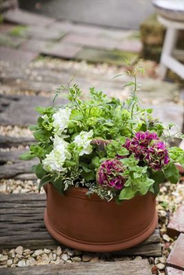 写真 2026-04-12 16 08 01_R_1