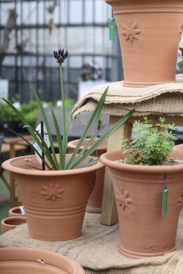 写真 2026-04-11 17 12 05_R_1