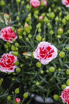 写真 2026-04-26 15 43 22_R_1