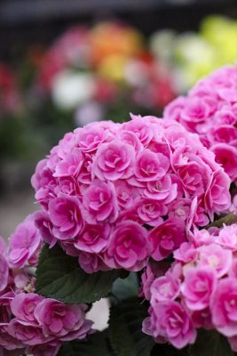 写真 2026-04-22 16 57 58_R_1