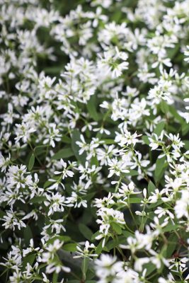 写真 2026-04-03 17 15 24_R_1