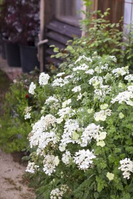 写真 2026-04-18 17 14 16_R_1