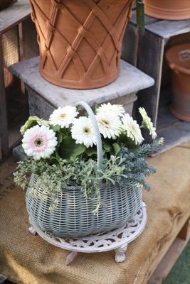 写真 2026-04-05 16 24 39_R_1