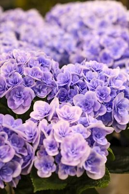 写真 2026-04-30 17 40 35_R_1