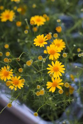 写真 2026-04-08 18 22 23_R_1