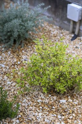 写真 2026-04-17 17 19 43_R_1