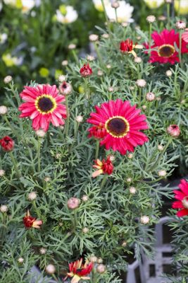 写真 2026-04-10 16 42 41_R_1