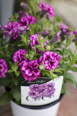 写真 2026-04-16 16 41 28_R_1