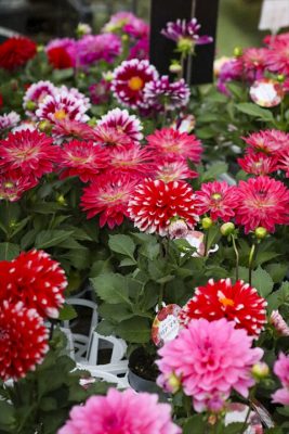 写真 2026-04-10 16 44 13_R_1