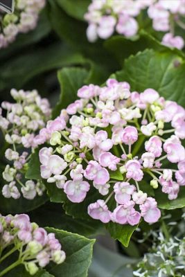 写真 2026-04-22 16 37 01_R_1