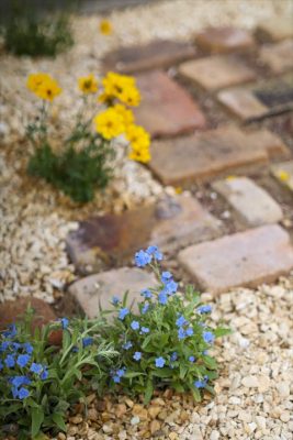 写真 2026-04-17 17 19 00_R_1