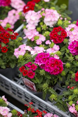 写真 2026-04-30 17 32 34_R_1