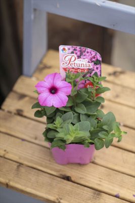 写真 2026-04-02 8 54 24_R_1