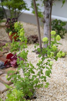 写真 2026-04-17 17 16 00_R_1