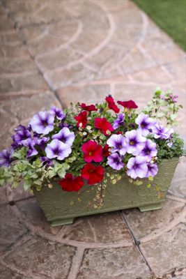 写真 2026-04-04 16 37 16_R_1