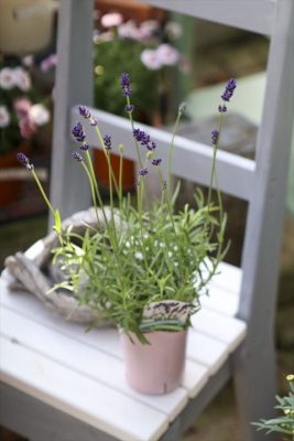 写真 2026-04-05 16 09 22_R_1