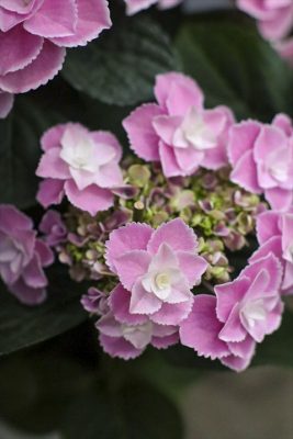 写真 2026-04-22 16 48 28_R_1