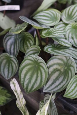 写真 2026-04-25 18 03 09_R_1