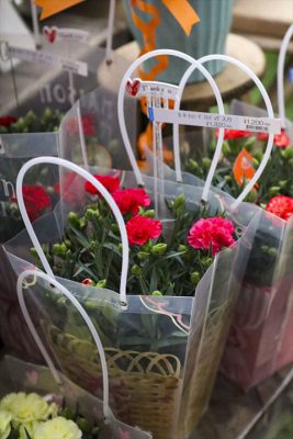 写真 2026-04-26 15 48 10_R_1