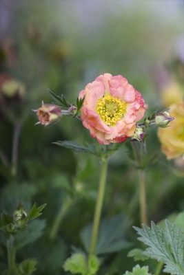 写真 2026-04-14 16 33 44_R_1