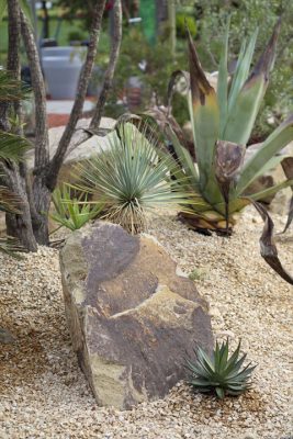 写真 2026-04-25 16 57 43_R_1