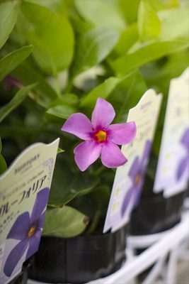 写真 2026-04-18 17 11 11_R_1