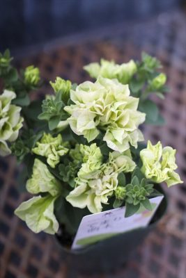 写真 2026-04-24 17 13 22_R_1