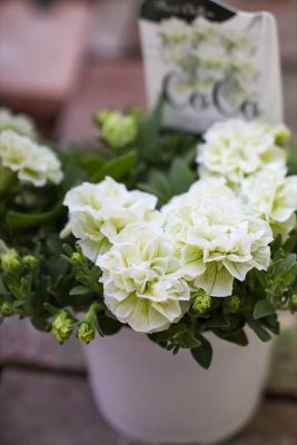 写真 2026-04-16 16 40 41_R_1