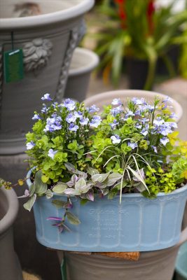 写真 2026-04-20 16 06 52_R_1