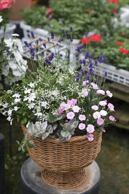 写真 2026-04-25 17 58 28_R_1