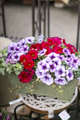 写真 2026-04-12 16 15 33_R_1