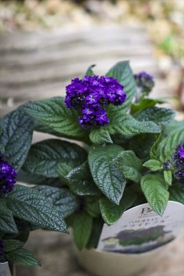 写真 2026-04-19 17 10 13_R_1