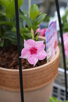 写真 2026-04-19 15 49 37_R_1