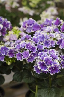 写真 2026-04-30 17 42 06_R_1