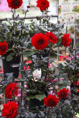 写真 2026-04-15 16 57 23_R_1