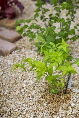 写真 2026-04-17 17 17 19_R_1