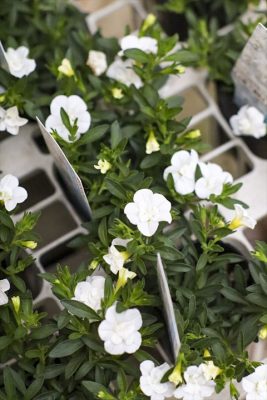 写真 2026-04-10 16 56 29_R_1