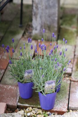 写真 2026-04-12 15 53 04_R_1