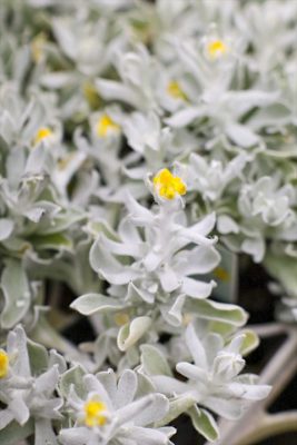 写真 2026-04-09 16 41 56_R_1