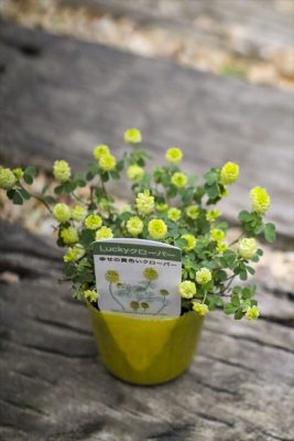 写真 2026-04-22 16 34 39_R_1