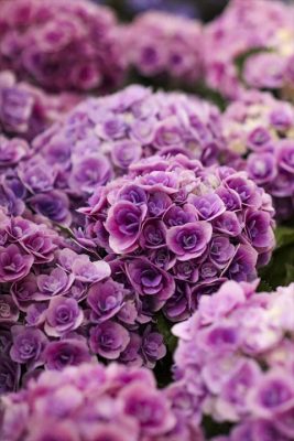 写真 2026-04-22 16 57 53_R_1