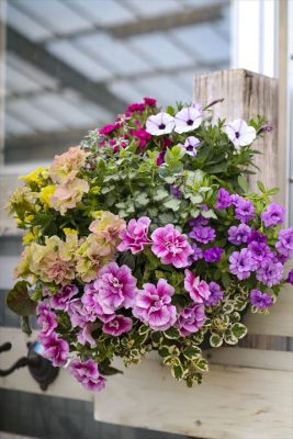 写真 2026-04-07 7 47 35_R_1