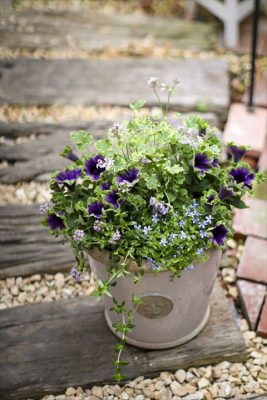 写真 2026-04-19 17 14 51_R_1