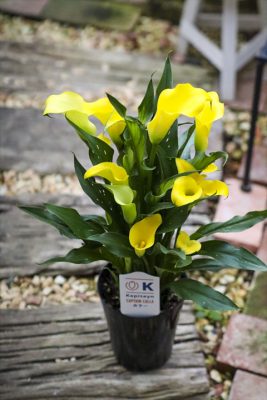 写真 2026-04-26 15 49 15_R_1