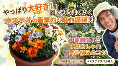 写真 2026-04-04 17 36 14