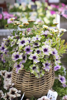 写真 2026-04-04 16 27 57_R_1