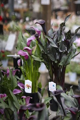 写真 2026-04-26 15 56 54_R_1